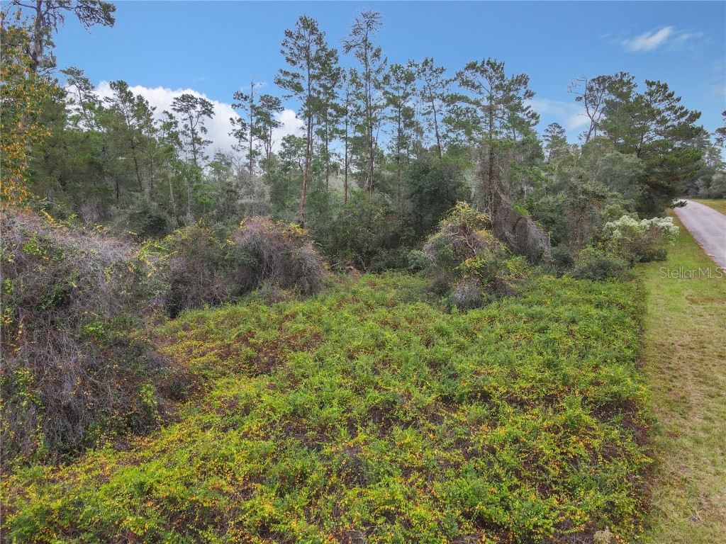 SW 32nd Circle Ocala FL 34473 TB8436644 image11