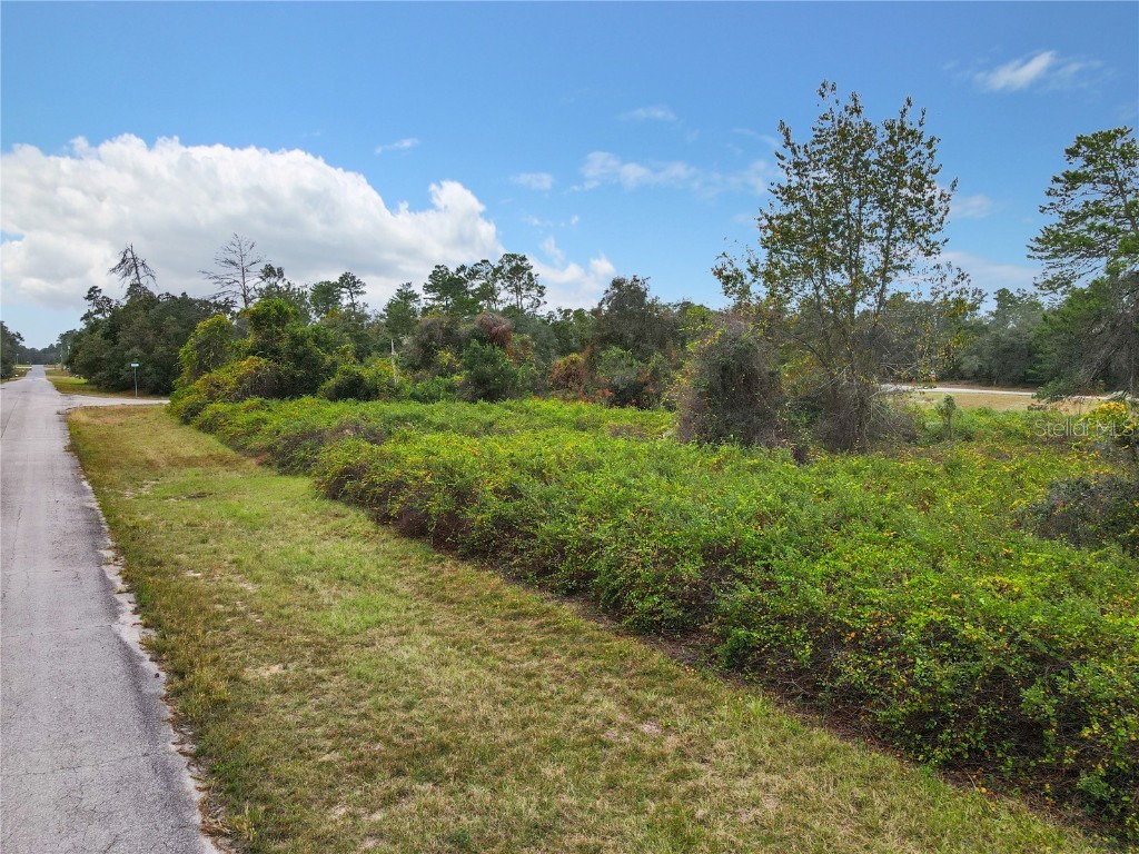 SW 32nd Circle Ocala FL 34473 TB8436644 image14