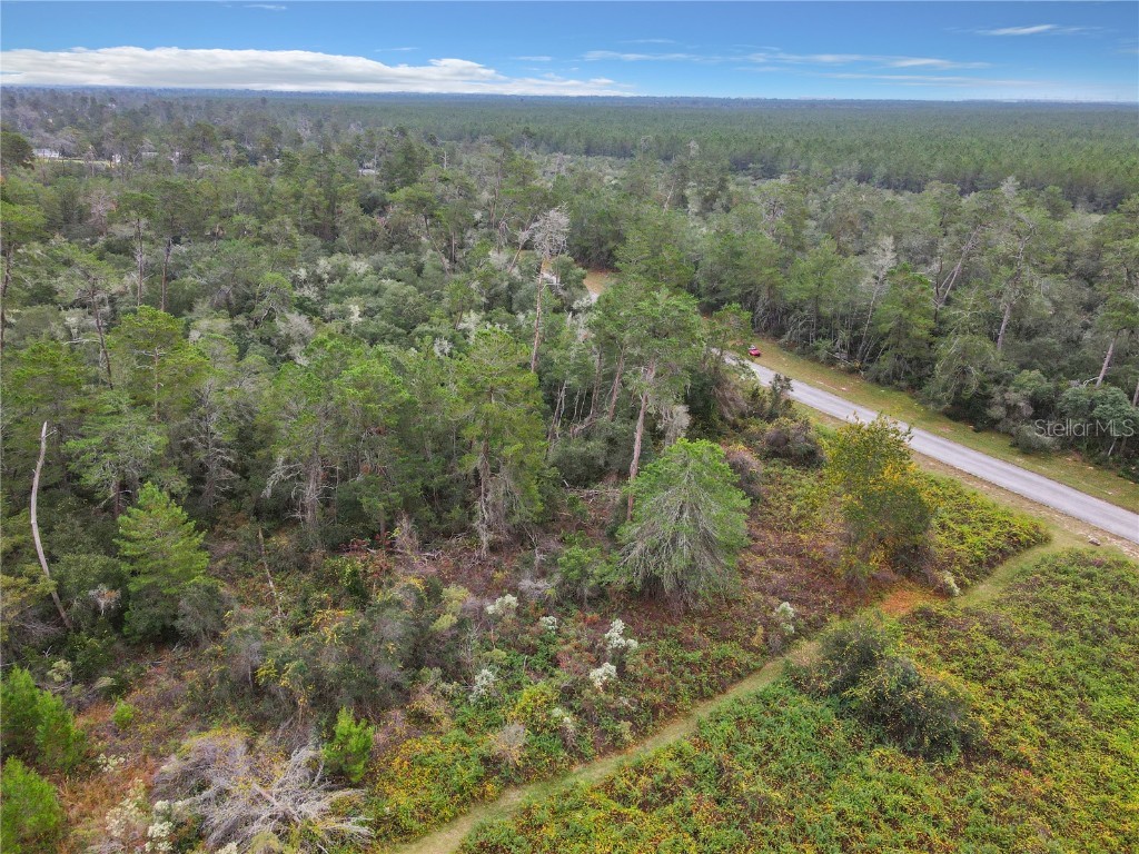 SW 32nd Circle Ocala FL 34473 TB8436644 image17