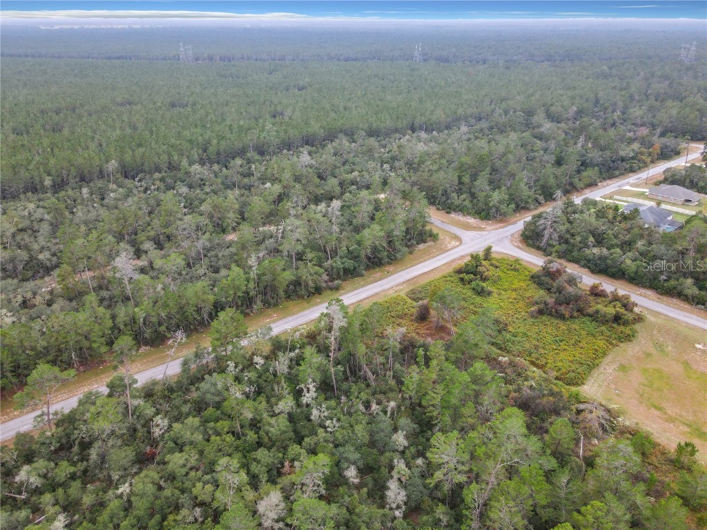 SW 32nd Circle Ocala FL 34473 TB8436644 image22