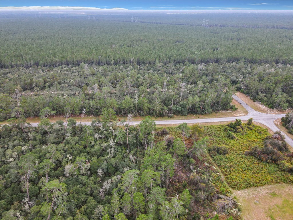 SW 32nd Circle Ocala FL 34473 TB8436644 image23