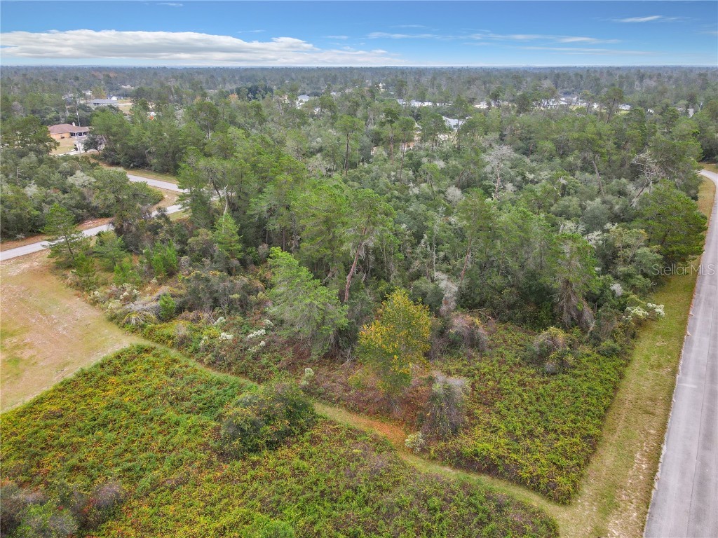 SW 32nd Circle Ocala FL 34473 TB8436644 image7