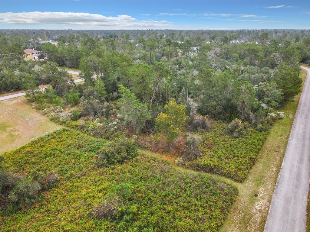 SW 32nd Circle Ocala FL 34473 TB8436644 image8