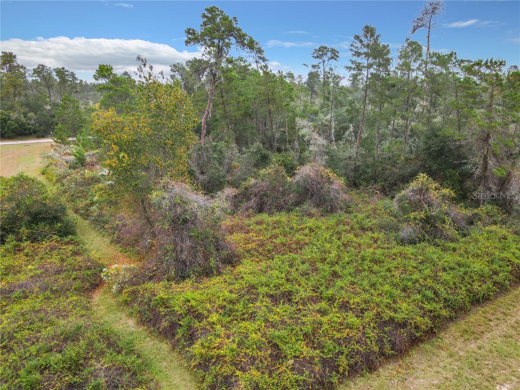 SW 32nd Circle Ocala FL 34473 TB8436644 image9