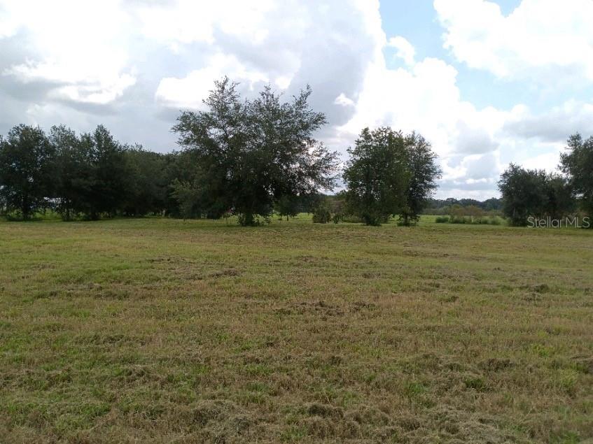 Sw 32nd St Bushnell FL 33513 T3467176 image1