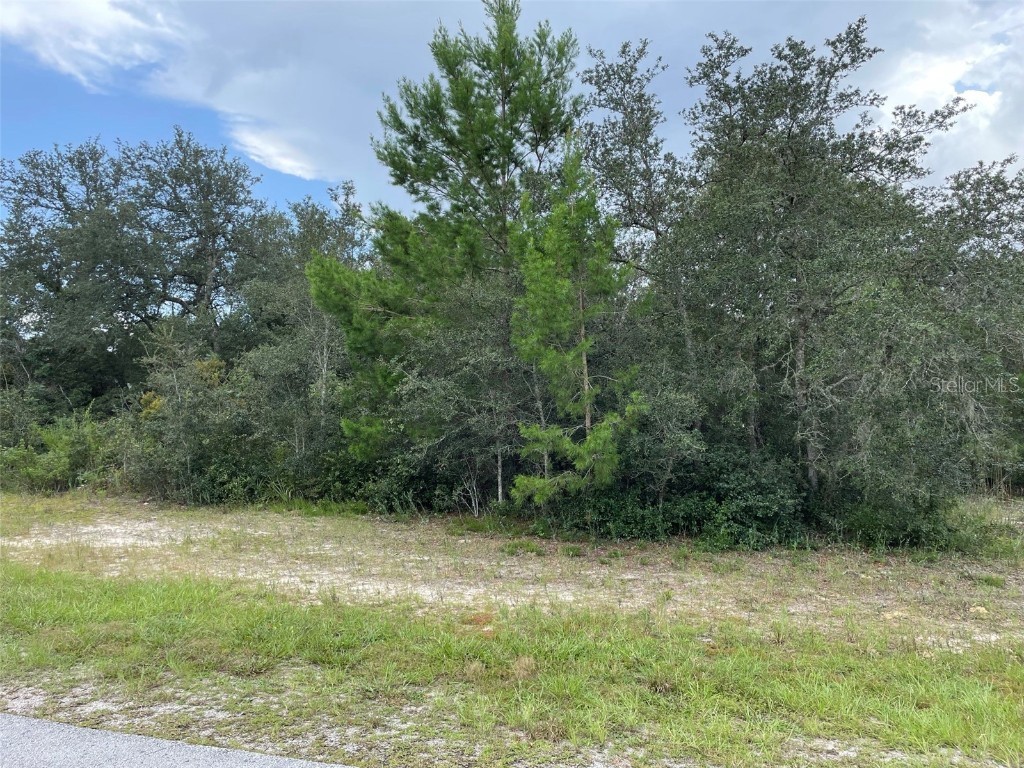 SW 33rd Court Road Ocala FL 34473 T3329644 image1