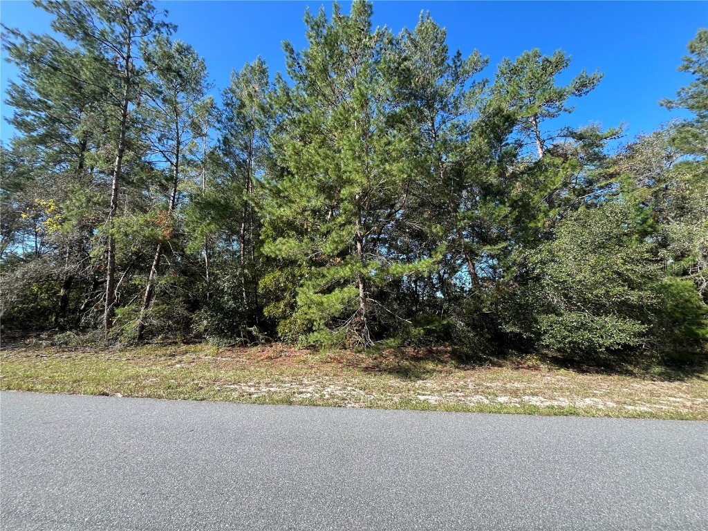 SW 34th Ocala FL 34473 OK224591 image1