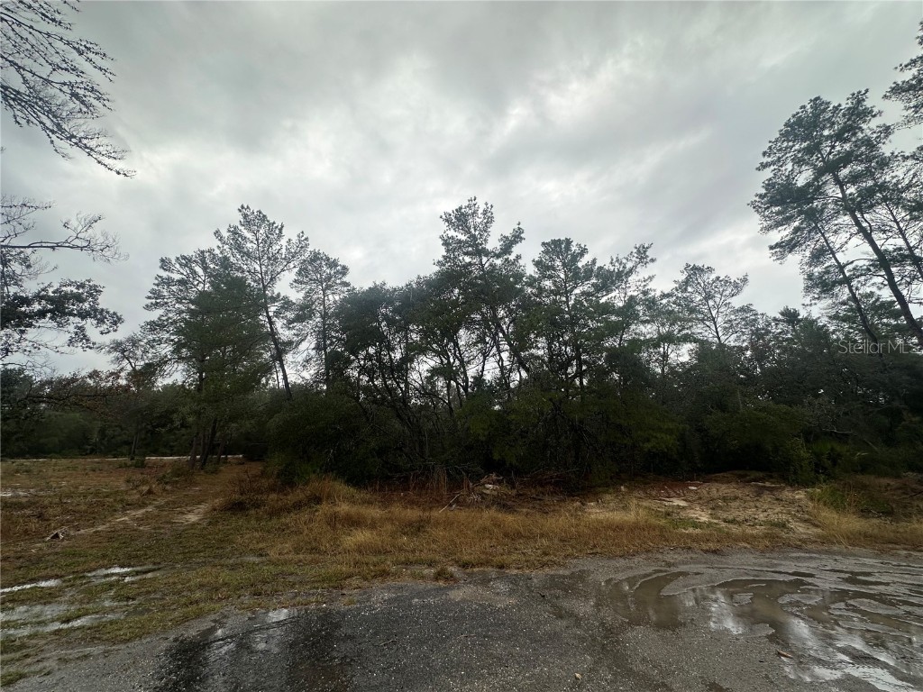 SW 35 Terrace Ocala FL 34473 GC535914 image2