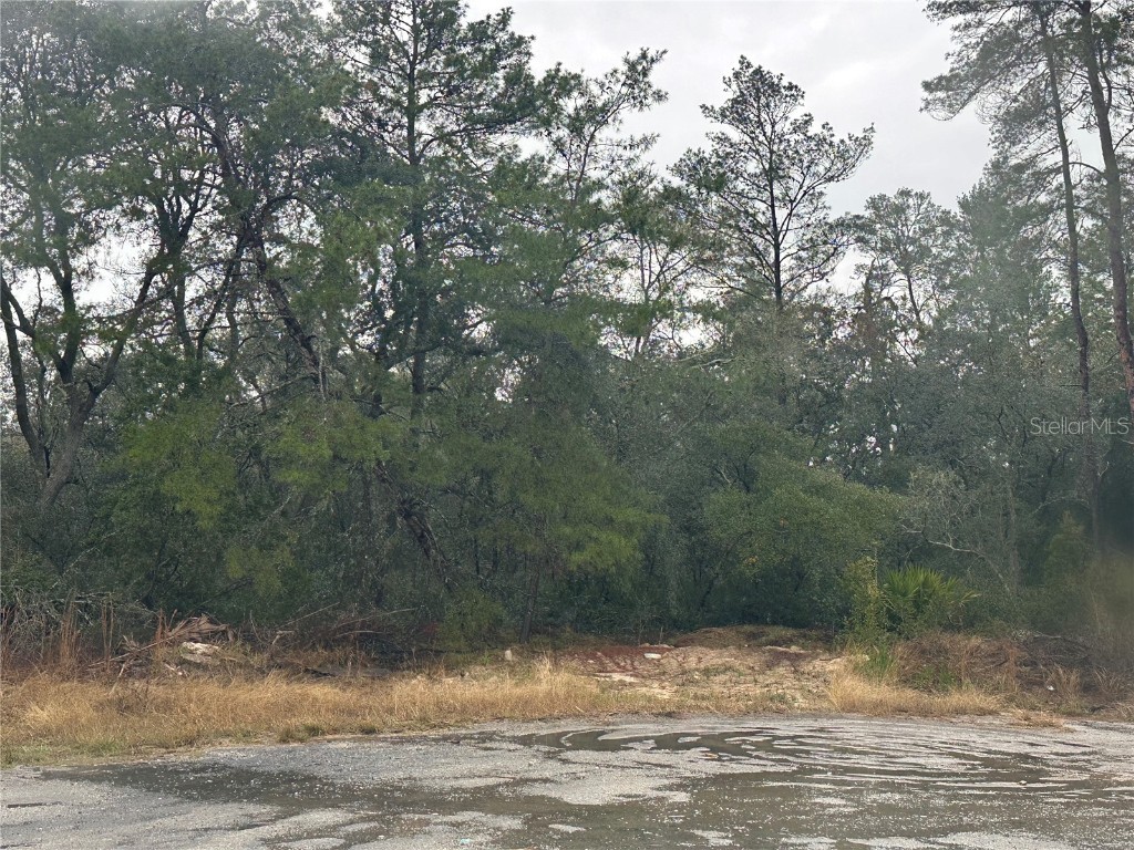 SW 35 Terrace Ocala FL 34473 GC535914 image3