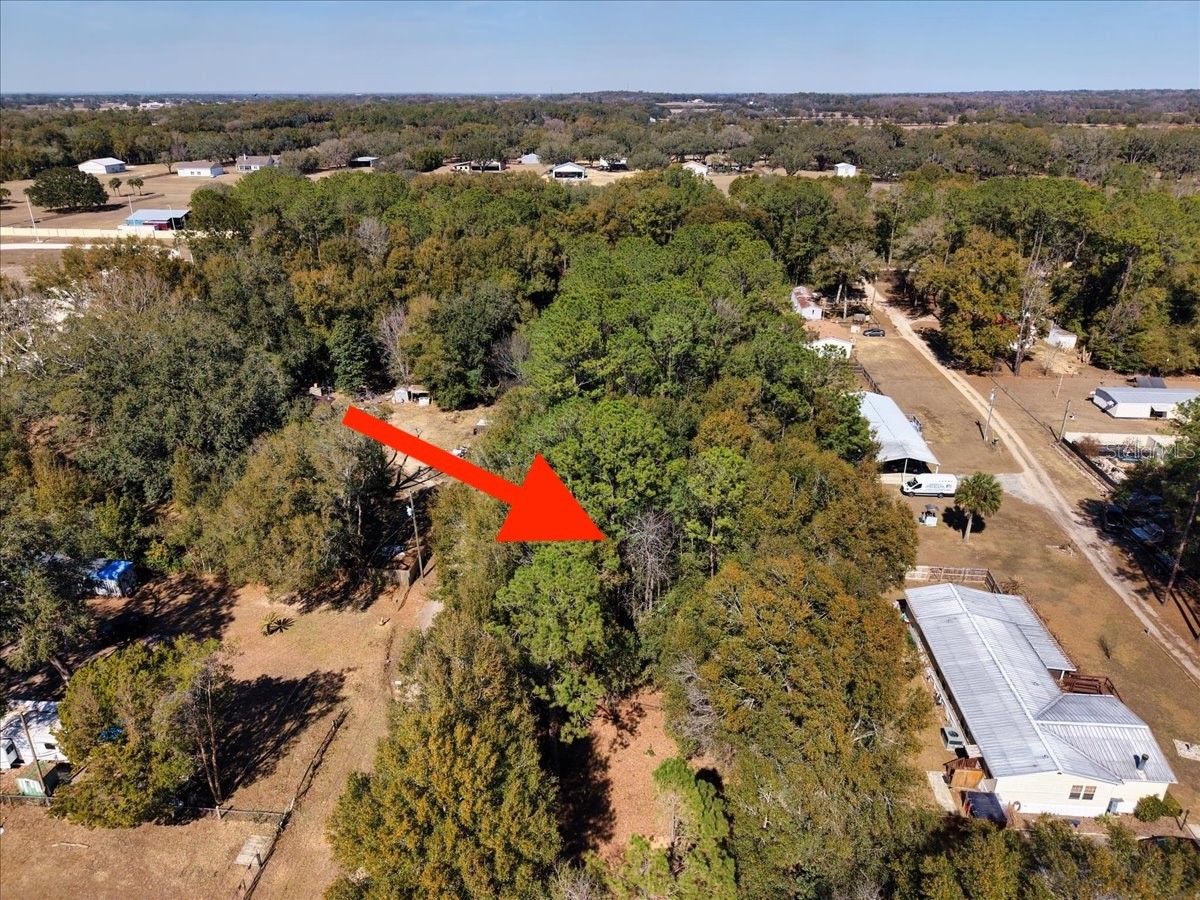 SW 35th Avenue Ocala FL 34476 O6382759 image13