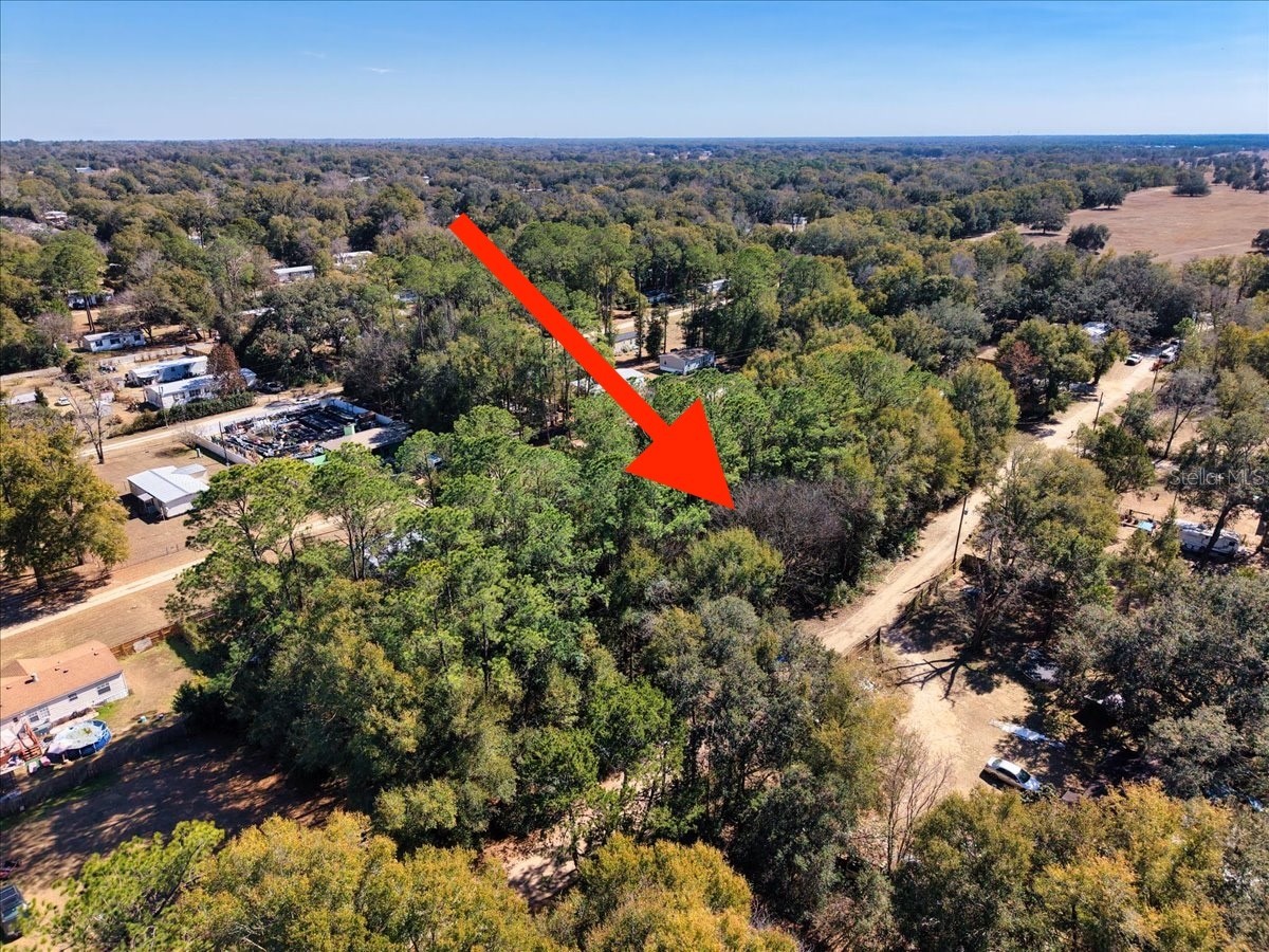 SW 35th Avenue Ocala FL 34476 O6382759 image25