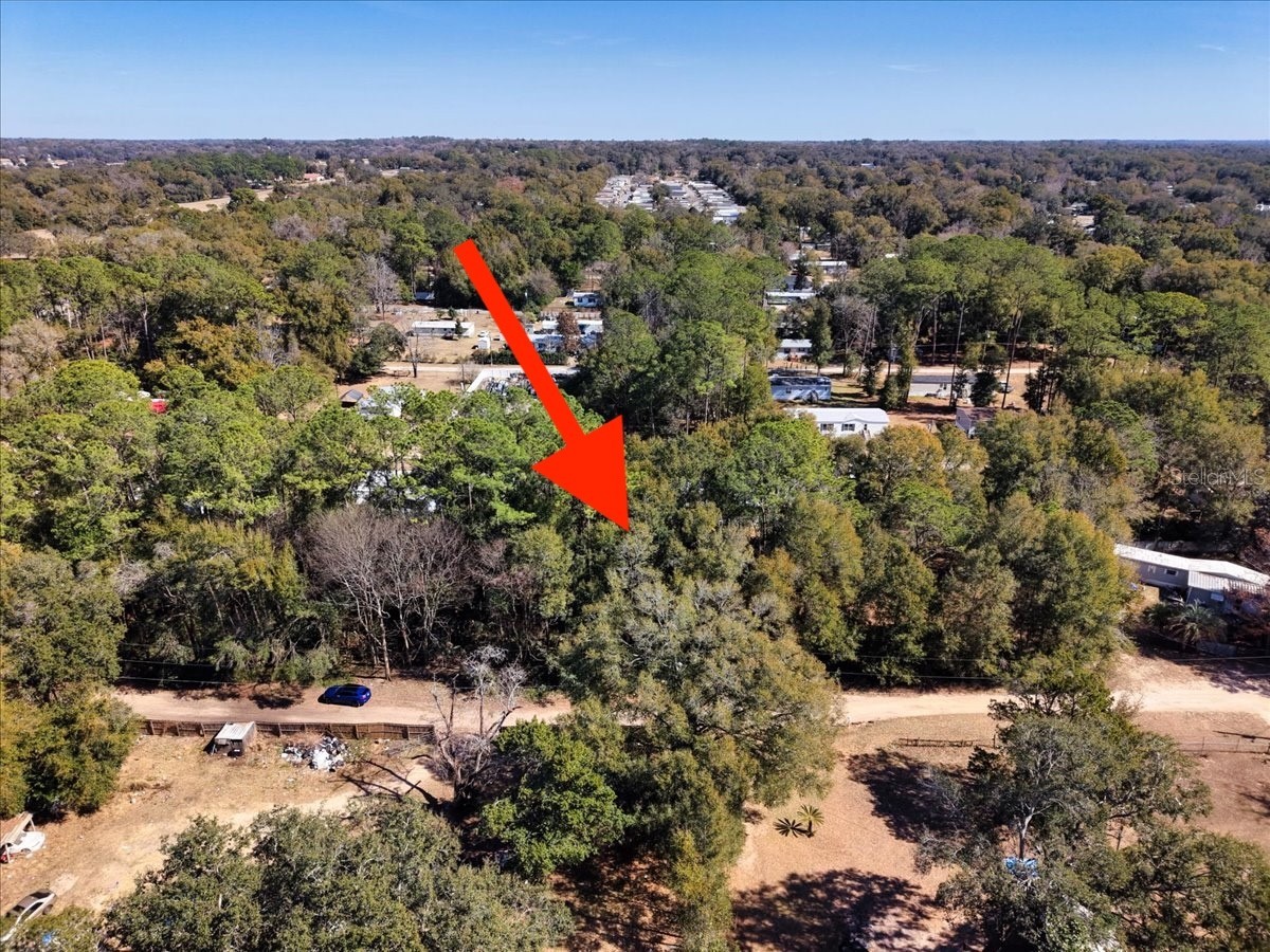 SW 35th Avenue Ocala FL 34476 O6382759 image27
