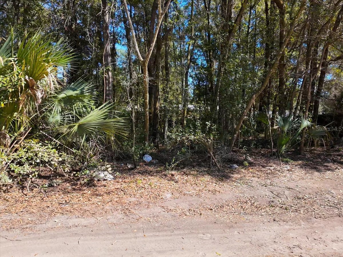 SW 35th Avenue Ocala FL 34476 O6382759 image4