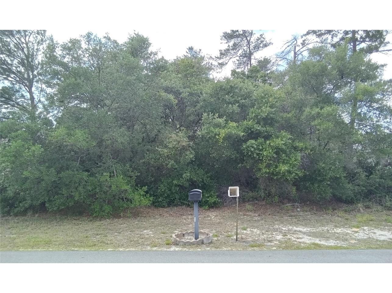 SW 35th Court Ocala FL 34473 OM678484 image1