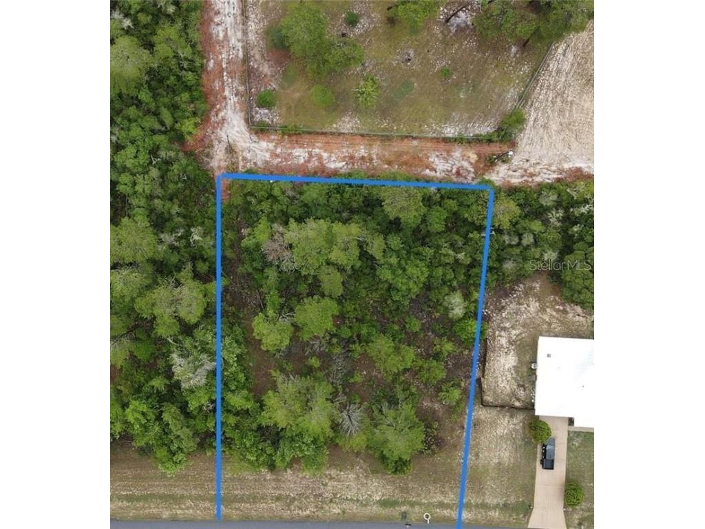 SW 36th Ave Rd Ocala FL 34473 O6095015 image1