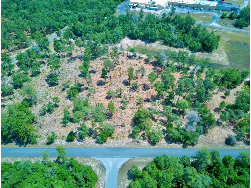 SW 36th Avenue Road - Lot 9 Ocala FL 34473 U8236540 image1