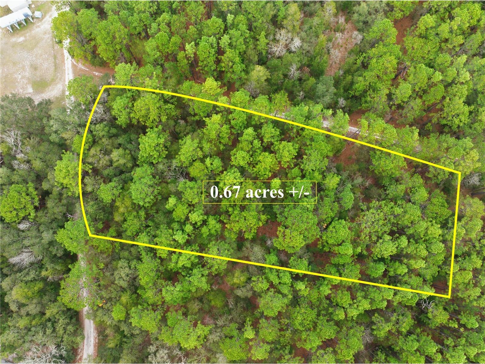 SW 36th Loop Dunnellon FL 34432 TB8464224 image1