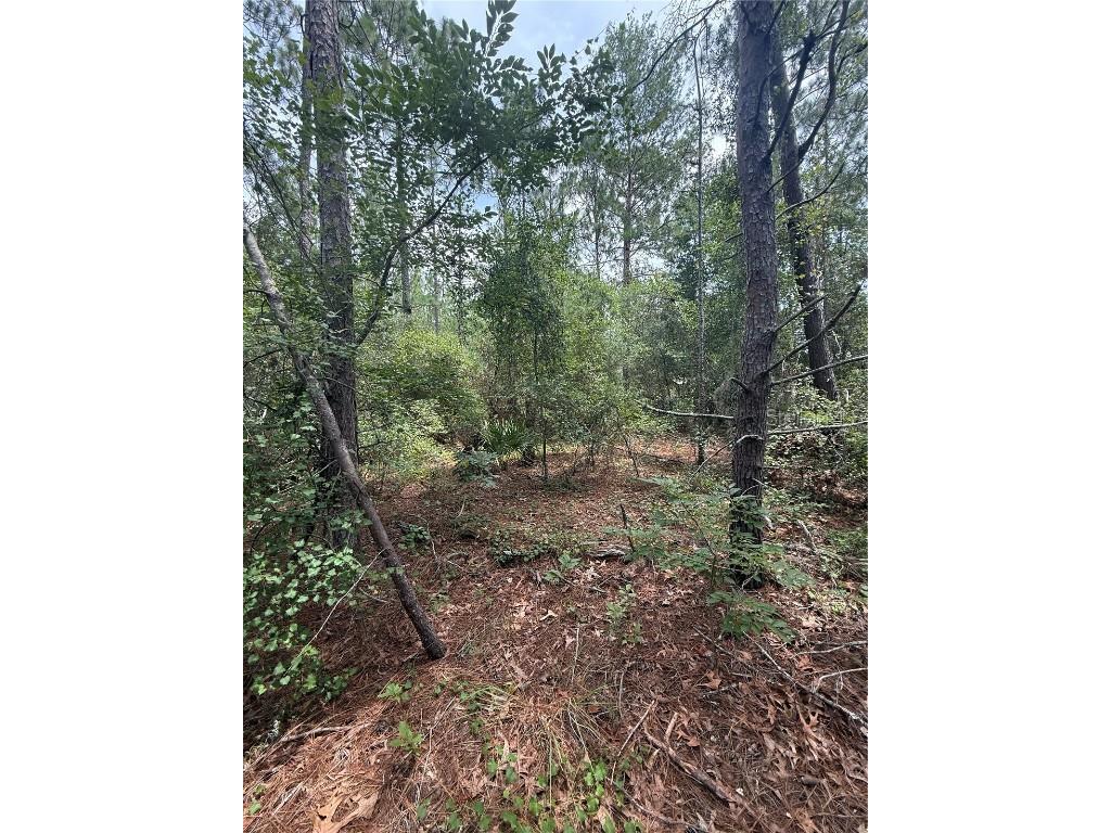 SW 38th Circle Ocala FL 34473 O6326990 image1