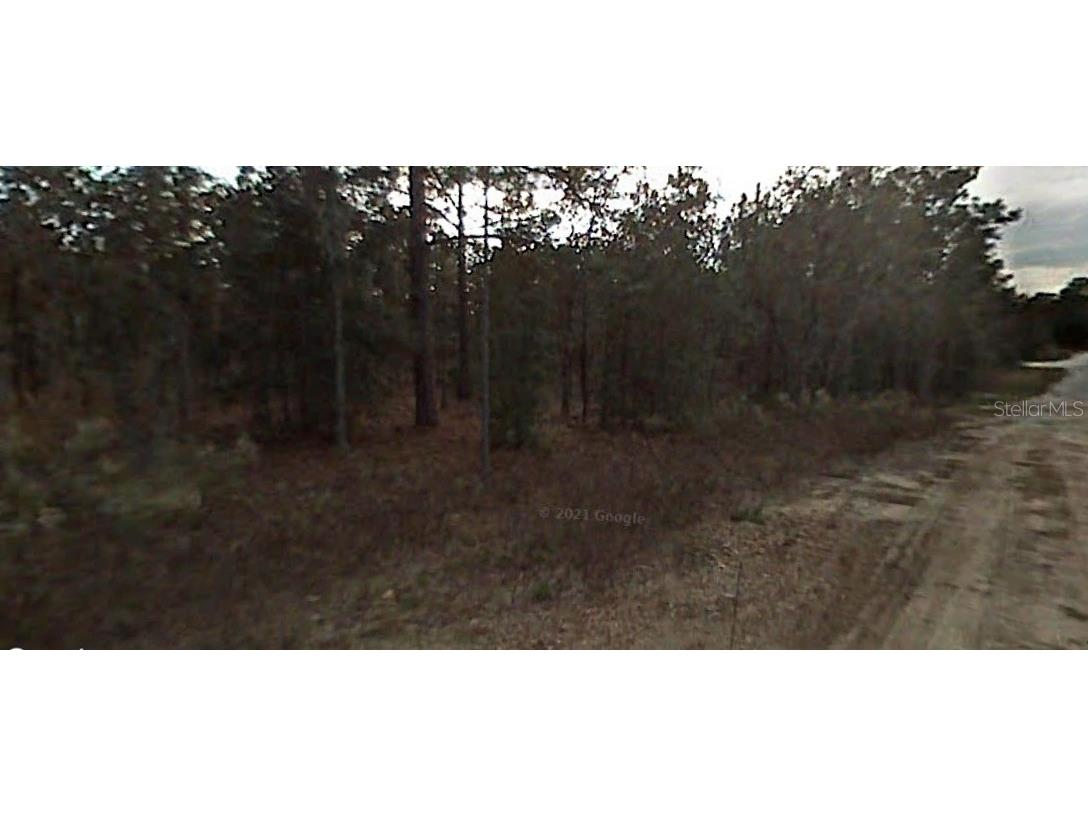 SW 38th Place Ocala FL 34481 O6207951 image1