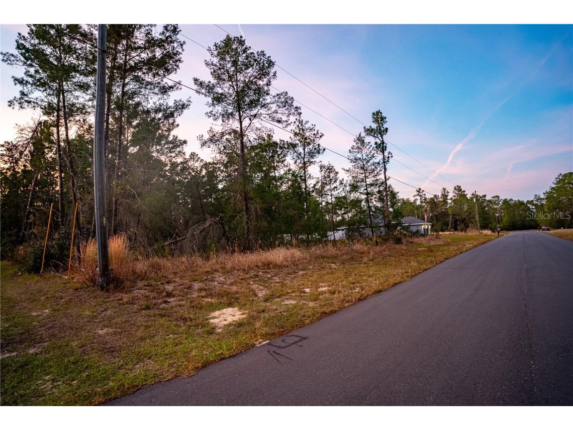SW 39th Court Ocala FL 34473 OM713227 image1