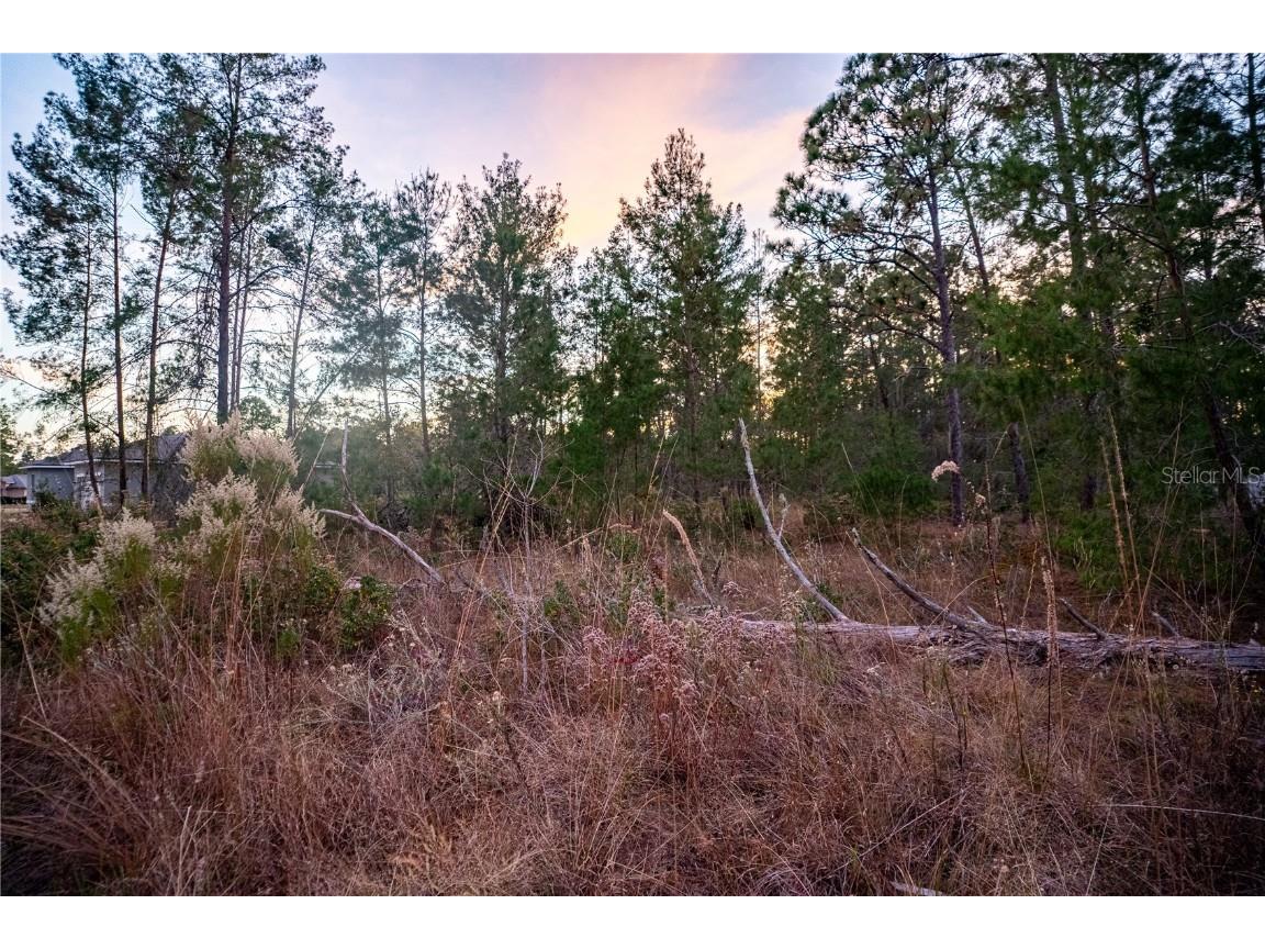 SW 39th Court Ocala FL 34473 OM713227 image2
