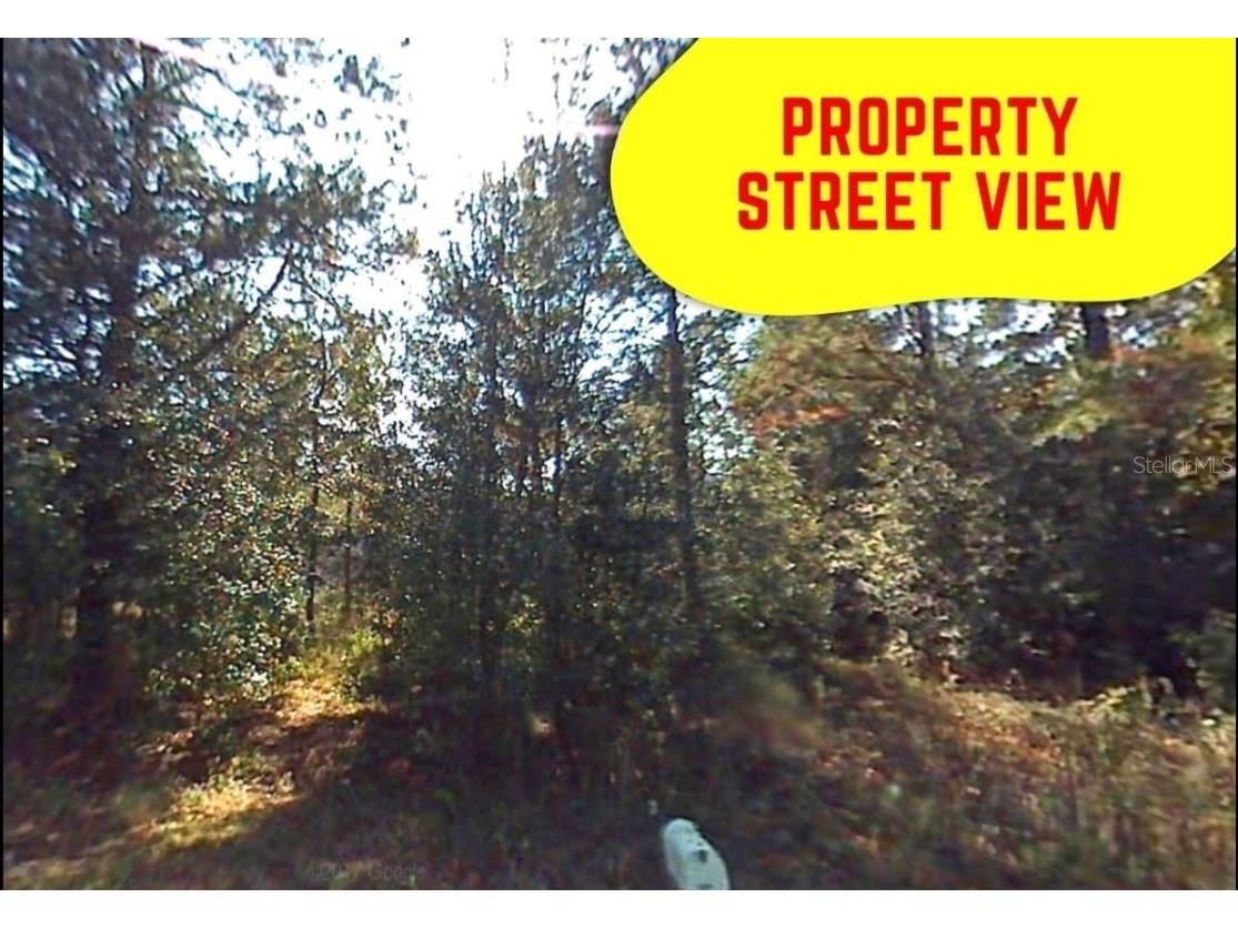 Sw 3rd Pl Ocala FL 34481 O6096813 image1