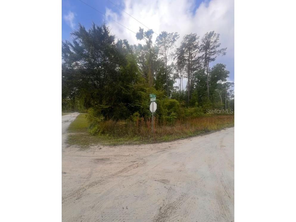 SW 3rd Place Ocala FL 34481 O6342542 image1