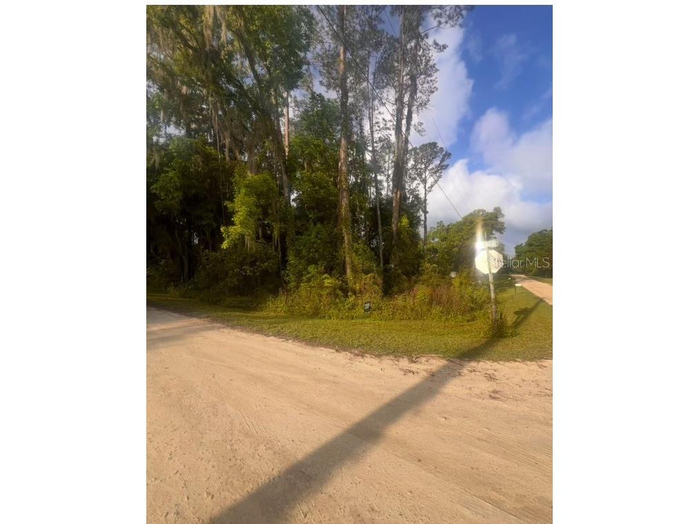 SW 3rd Place Ocala FL 34481 O6342542 image2