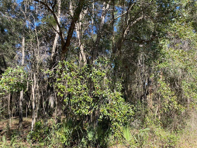 SW 3rd Street Micanopy FL 32667 GC511874 image1