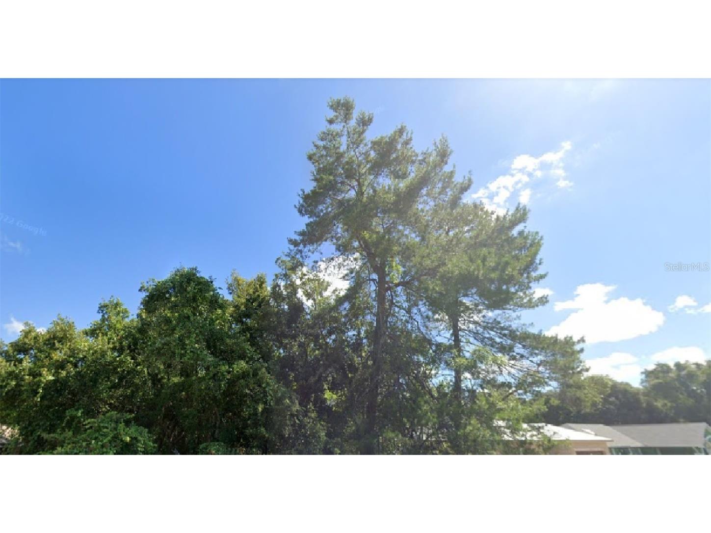 SW 40th Circle Ocala FL 34473 O6129429 image1