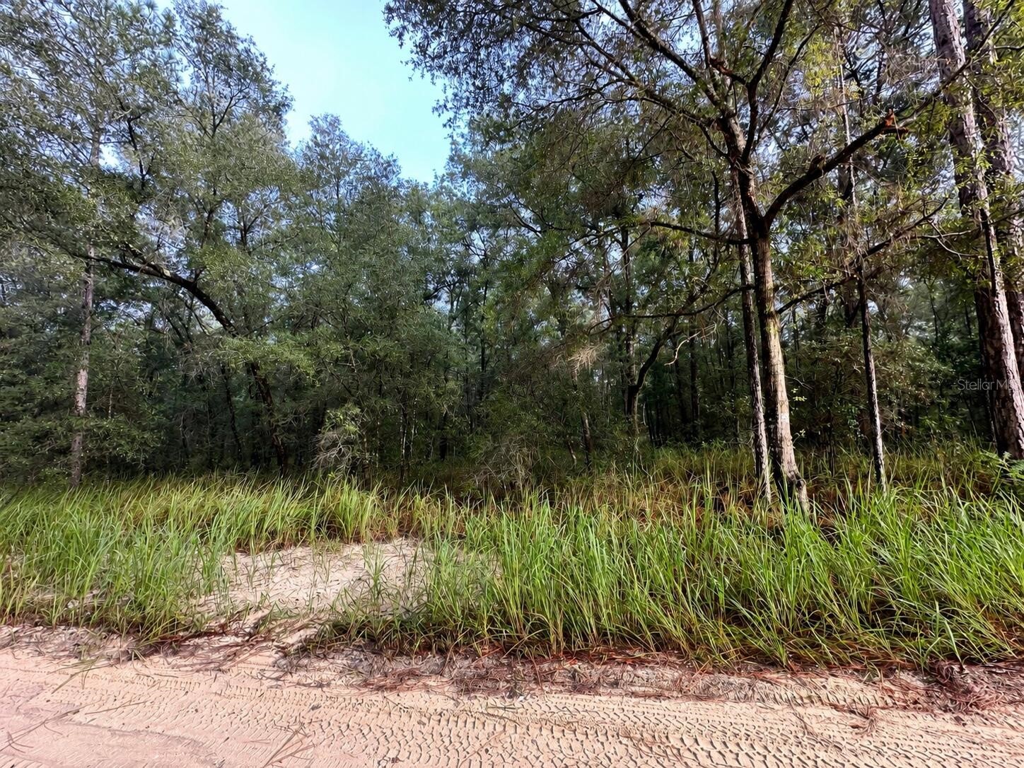 SW 40th Street Ocala FL 34481 O6415053 image2