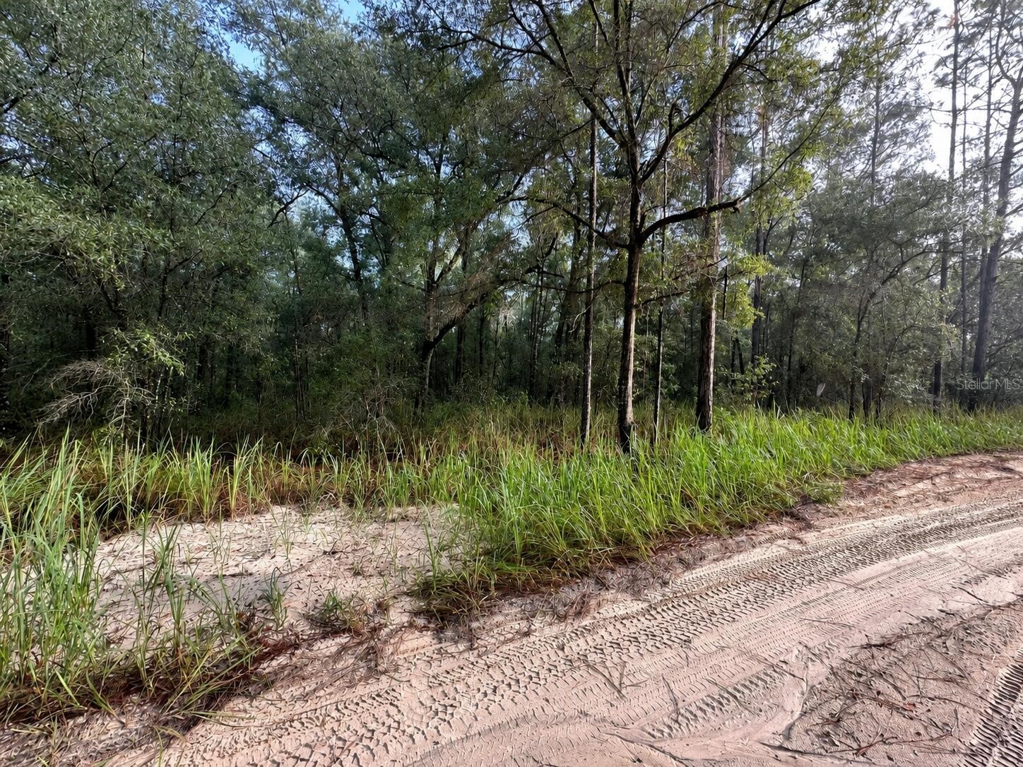 SW 40th Street Ocala FL 34481 O6415053 image3