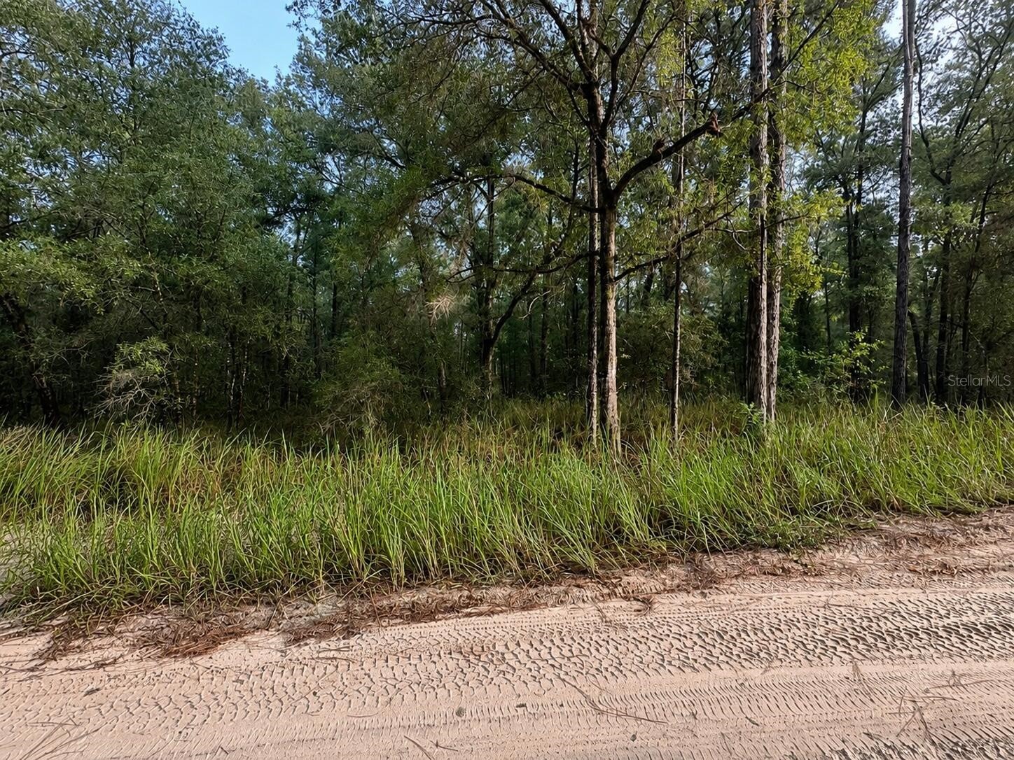 SW 40th Street Ocala FL 34481 O6415053 image4
