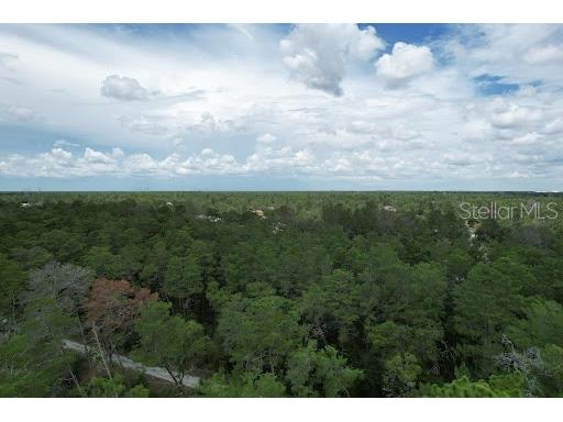 SW 41st Cir Ocala FL 34473 O6134541 image1