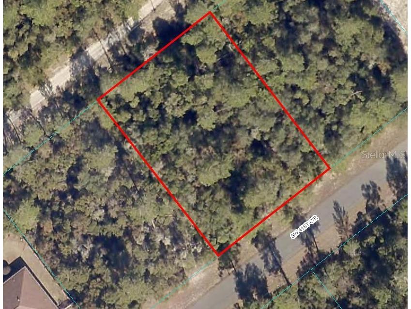 SW 41st Circle Ocala FL 34473 OM661217 image1