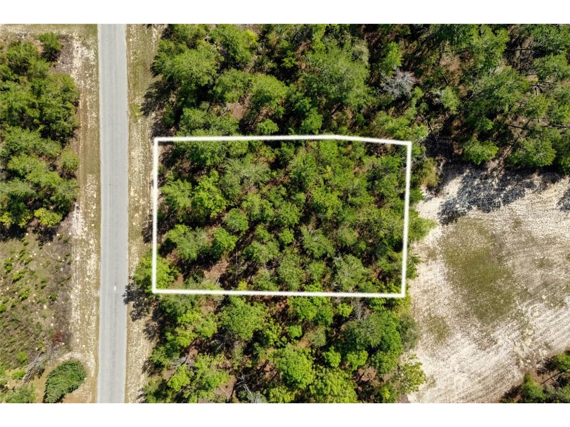 SW 41st Circle Ocala FL 34473 G5095335 image1