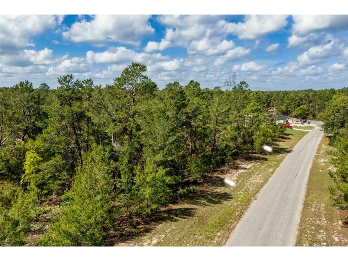 SW 41st Circle Ocala FL 34473 G5095335 image10