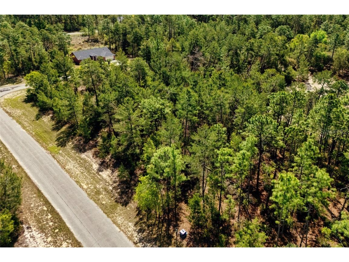 SW 41st Circle Ocala FL 34473 G5095335 image11