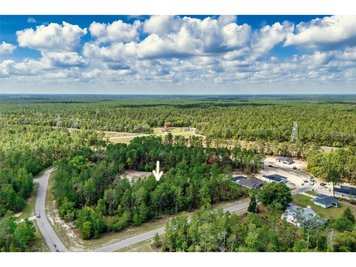 SW 41st Circle Ocala FL 34473 G5095335 image4