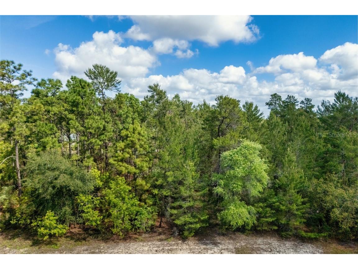 SW 41st Circle Ocala FL 34473 G5095335 image5