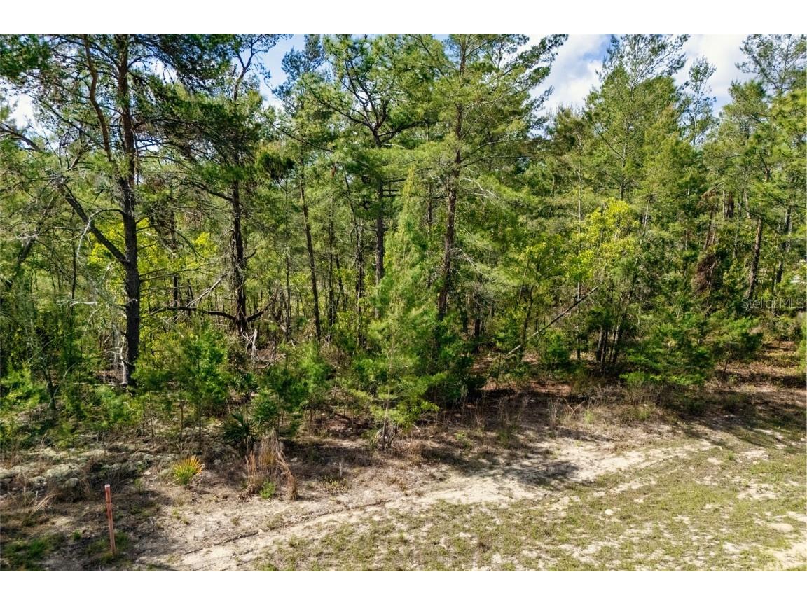 SW 41st Circle Ocala FL 34473 G5095335 image6