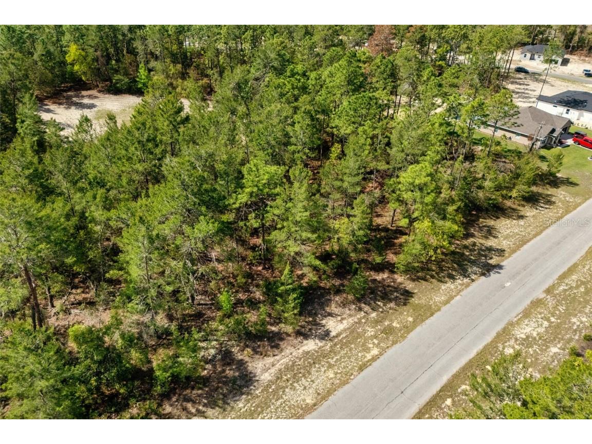 SW 41st Circle Ocala FL 34473 G5095335 image7