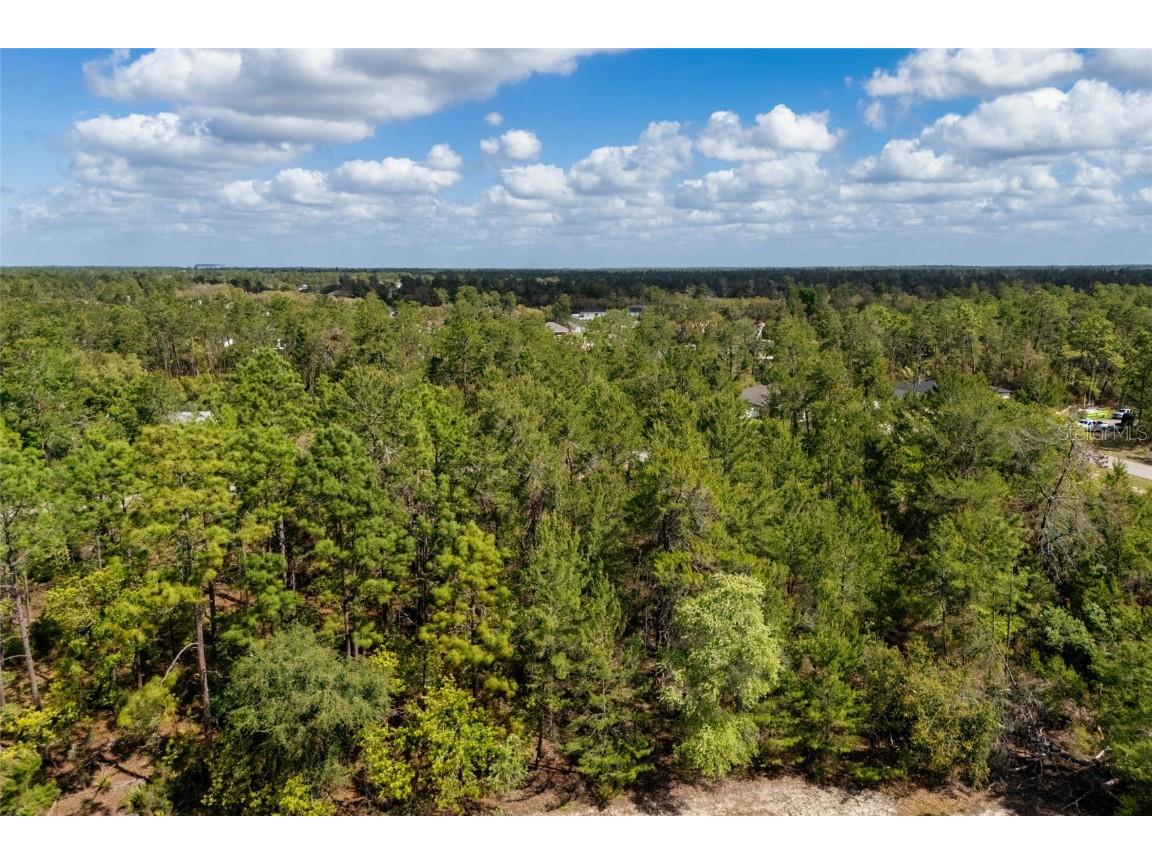 SW 41st Circle Ocala FL 34473 G5095335 image8