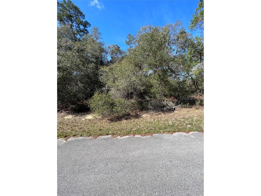 SW 41st Court Ocala FL 34473 OM652812 image1