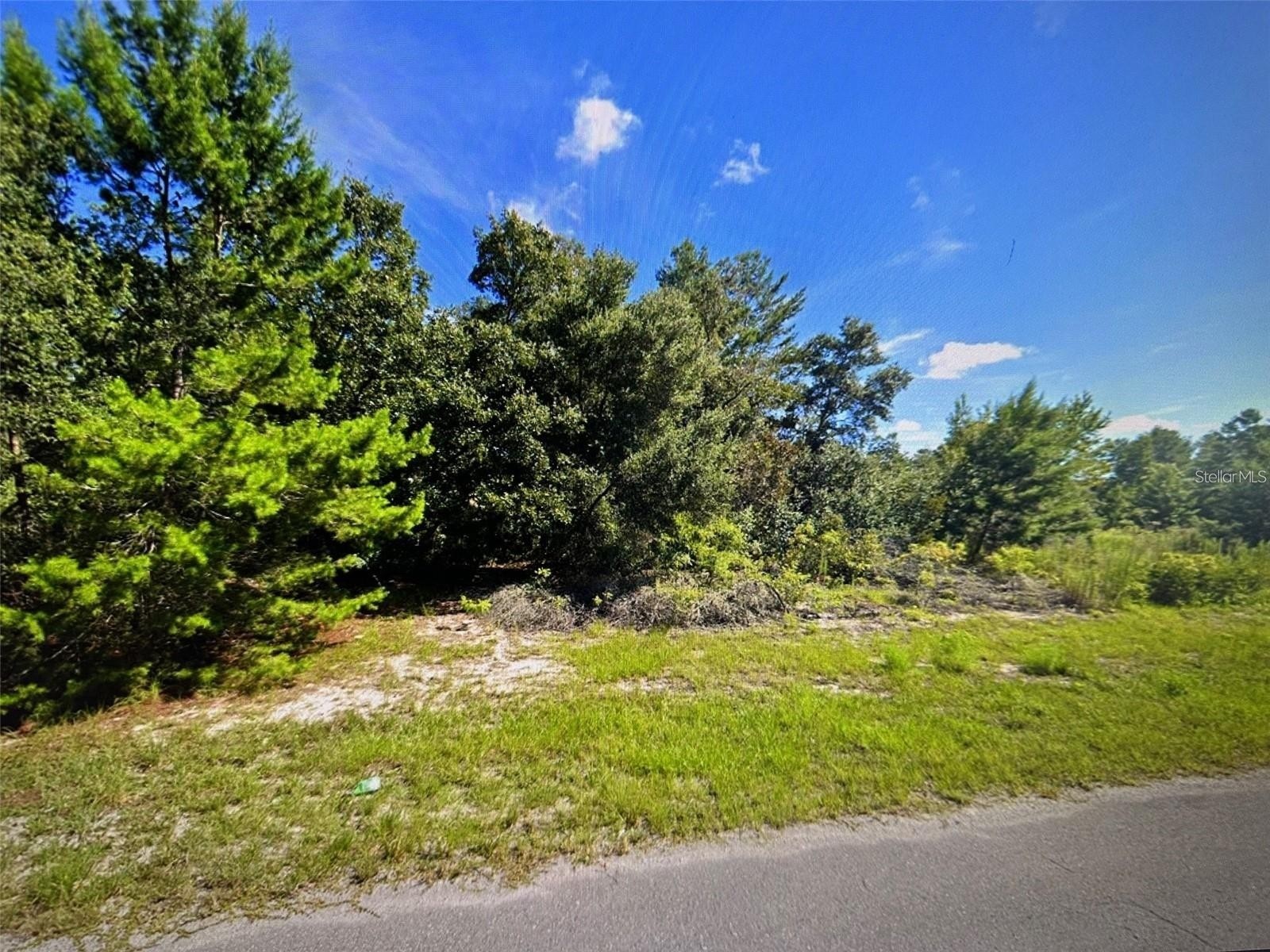 SW 41st Court Ocala FL 34473 G5110158 image3