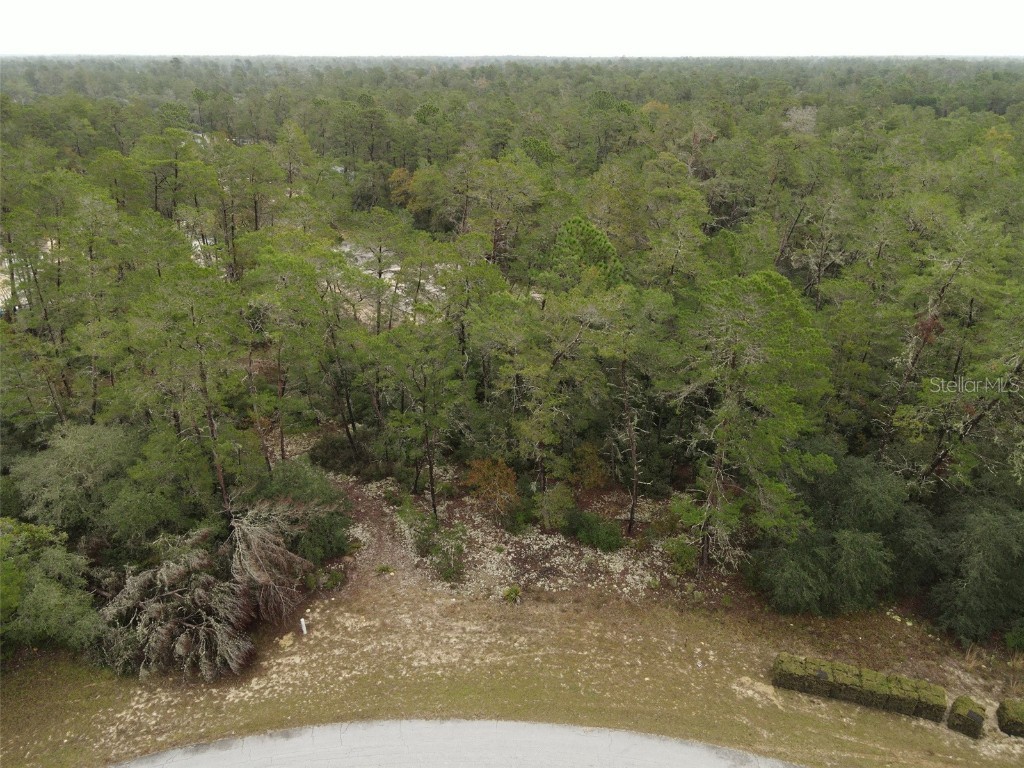 SW 44th Circle Ocala FL 34473 OM650516 image1