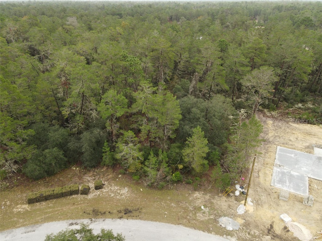 SW 44th Circle Ocala FL 34473 OM650517 image1