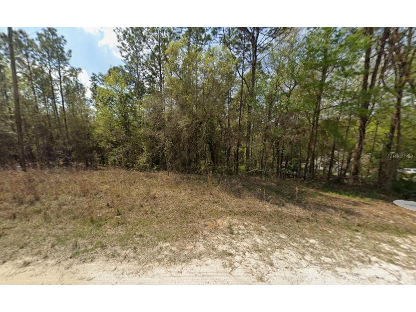 SW 45th Lane Road Ocala FL 34481 K4903646 image1