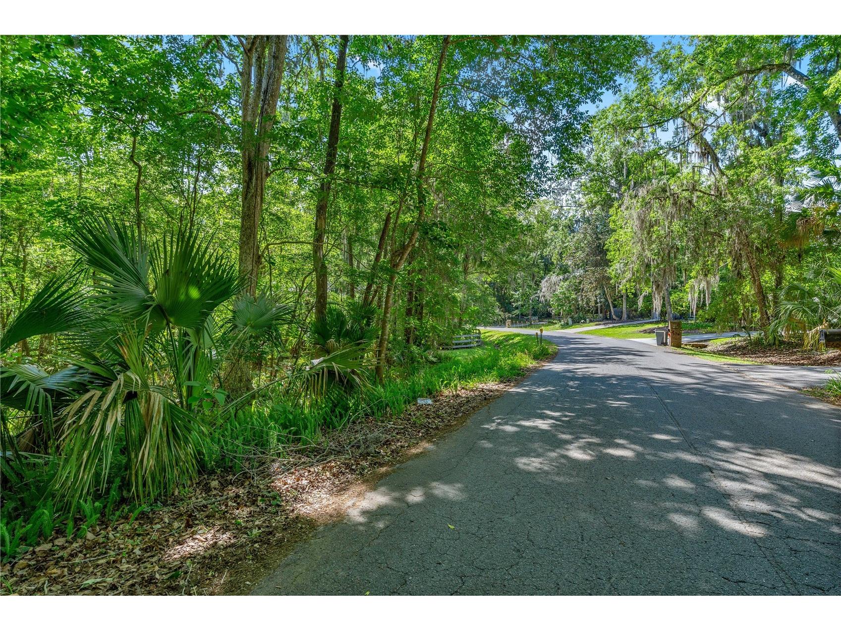 SW 45th Street Ocala FL 34471 OM723378 image3