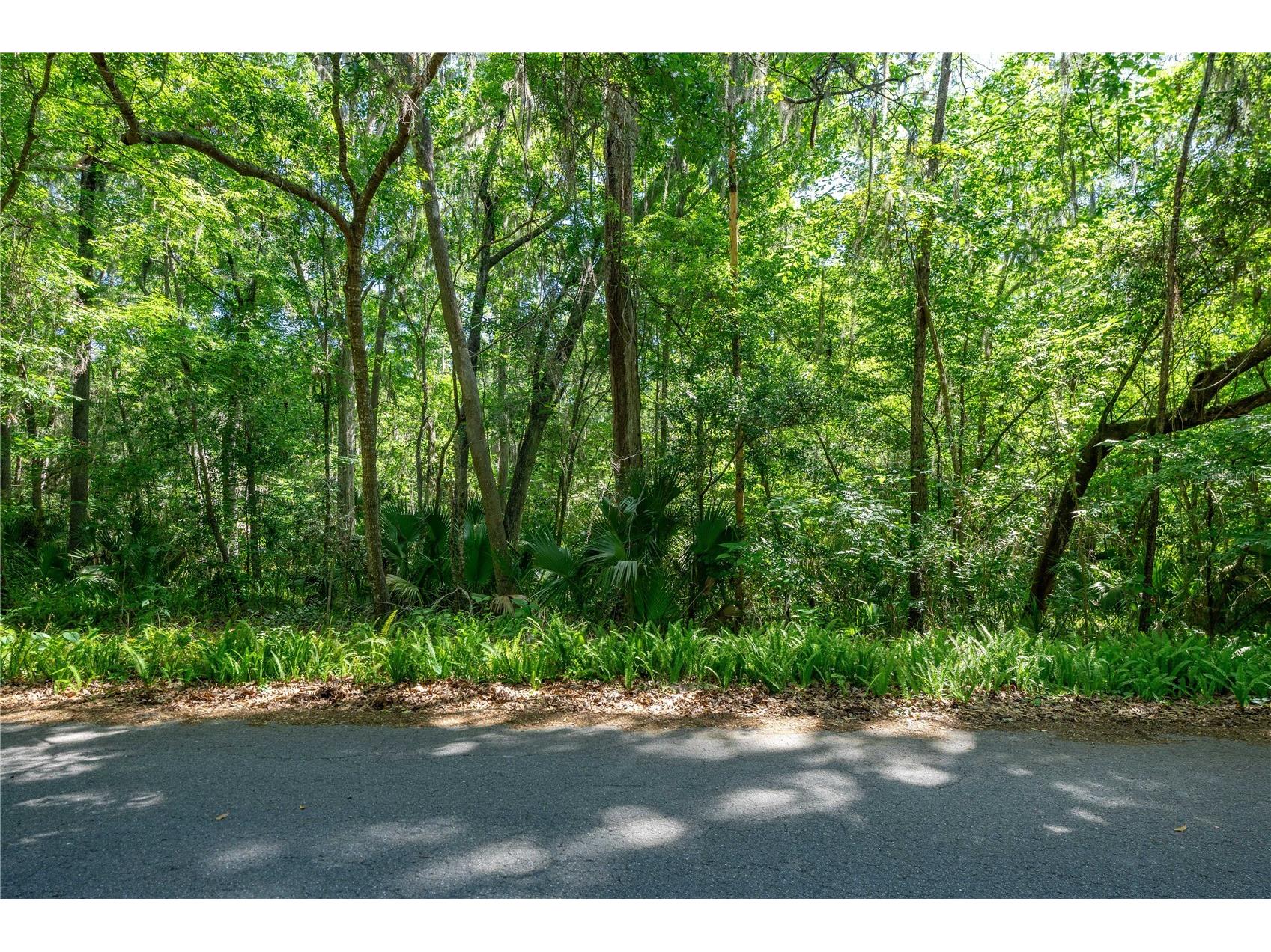 SW 45th Street Ocala FL 34471 OM723378 image4